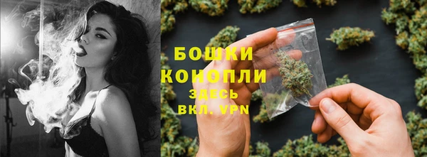 молекула духа Нефтекумск