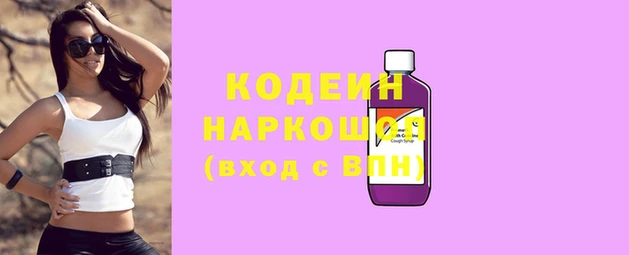 прущие грибы Нея