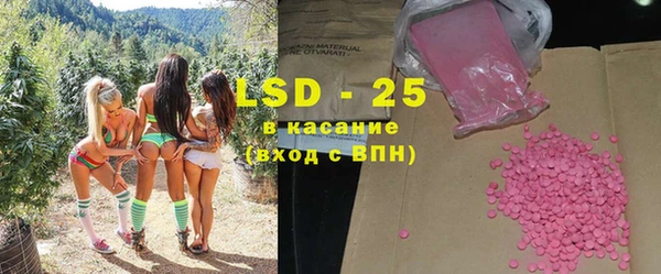 прущие грибы Нея