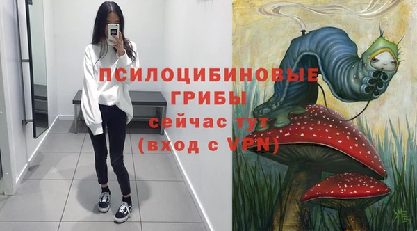 молекула духа Нефтекумск