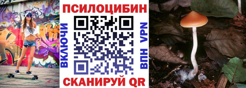 Галлюциногенные грибы GOLDEN TEACHER  Купить закладки  Петровск-Забайкальский 