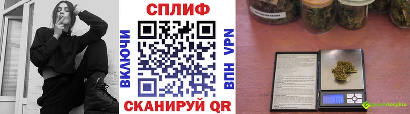 Купить где  Петровск-Забайкальский  Шишки марихуана ГИДРОПОН 